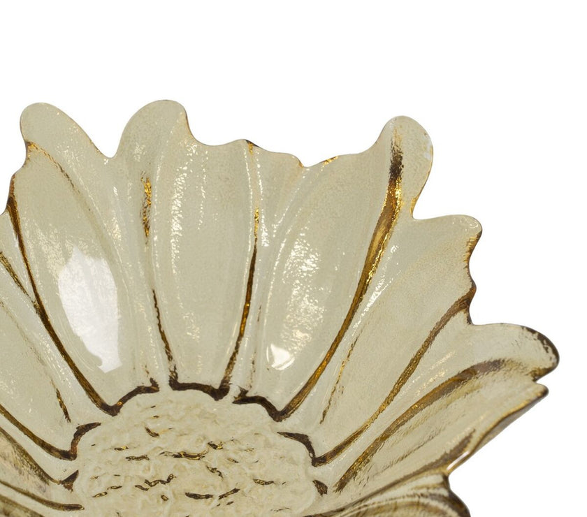 V2H56D21A0CEF4A5A2D61CFFCF1C7EFA627R5017361P7