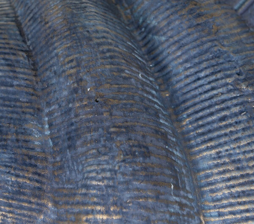 V4HC6F4B7F633BD7943C1721D9604A63DE1R3676729P6