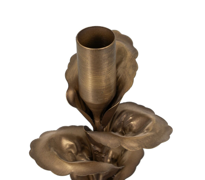 V3H02DF6D884EAD1ED7BC98C1BA9FB50E0CR3673758P2