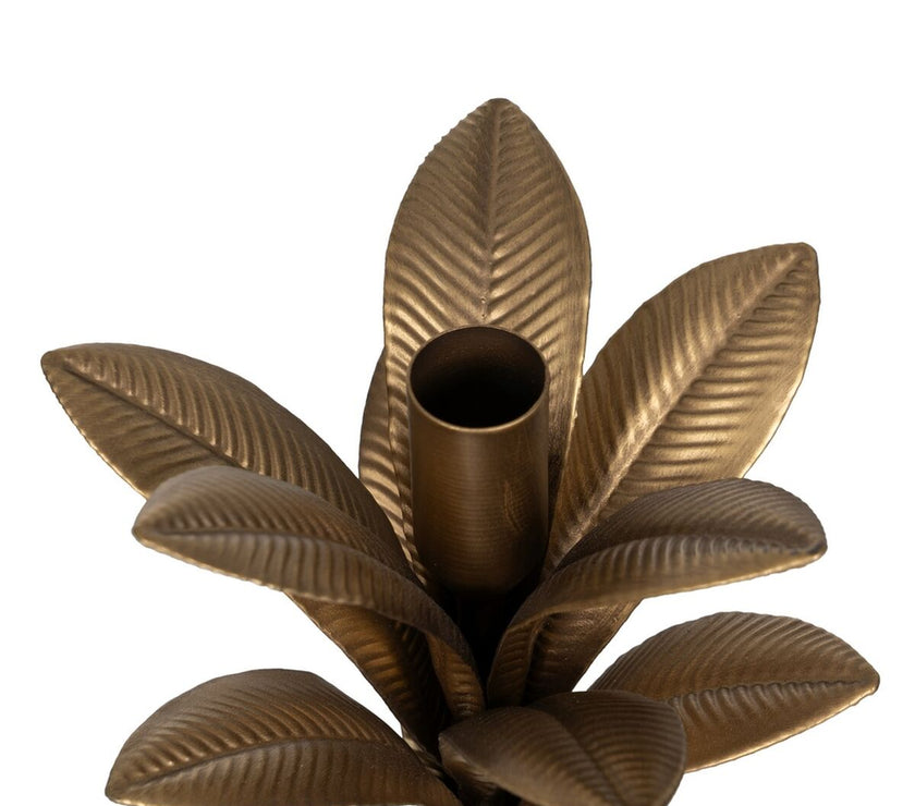 V3H69D74160ABDD766BF68070BB0364B6E5R3673790P3