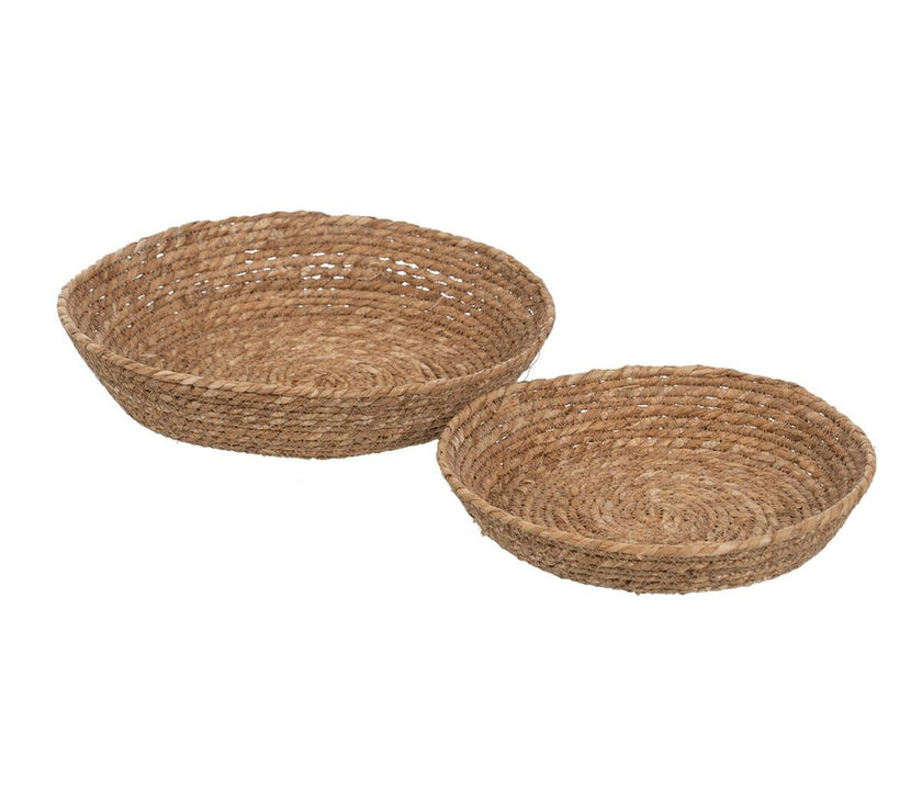 V2H422688D6B60C97E3845638EE6E4C4EAFR5017520P1