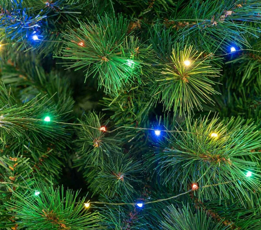 V4H88D054285F4C2359886E3592E33EBA5AR4060519P3