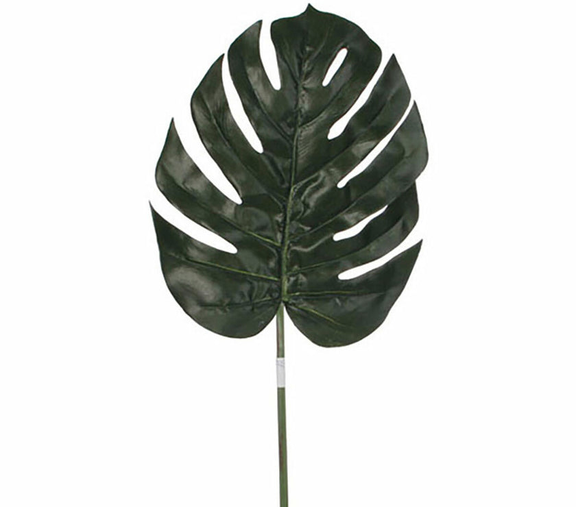 V5H4ED07B4C59E0F08ADA8126E046FFC145R4419281P1