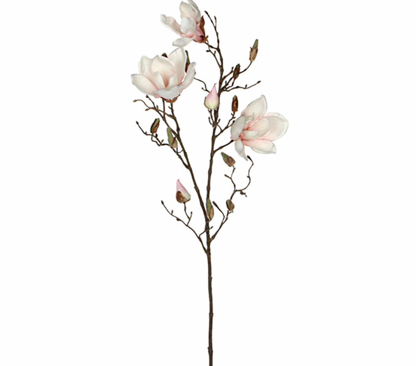 V5H8A785D10C96CD74C053AD7AC85600C17R4422094P1