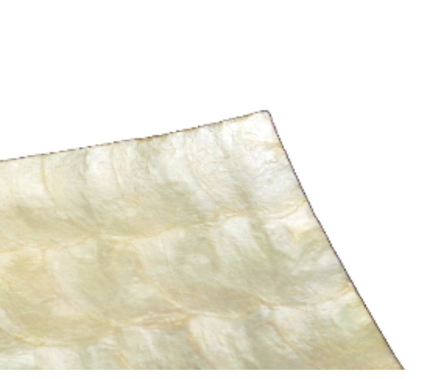 V2H20EA139C59F5D28CC79C4DACC070AB76R4890431P2